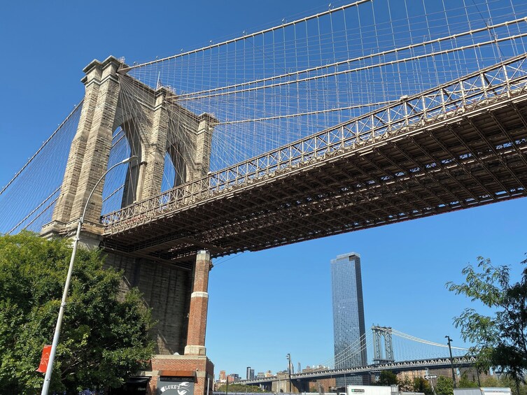 New York City Half Day Dumbo to City Hall Walking Tour   2