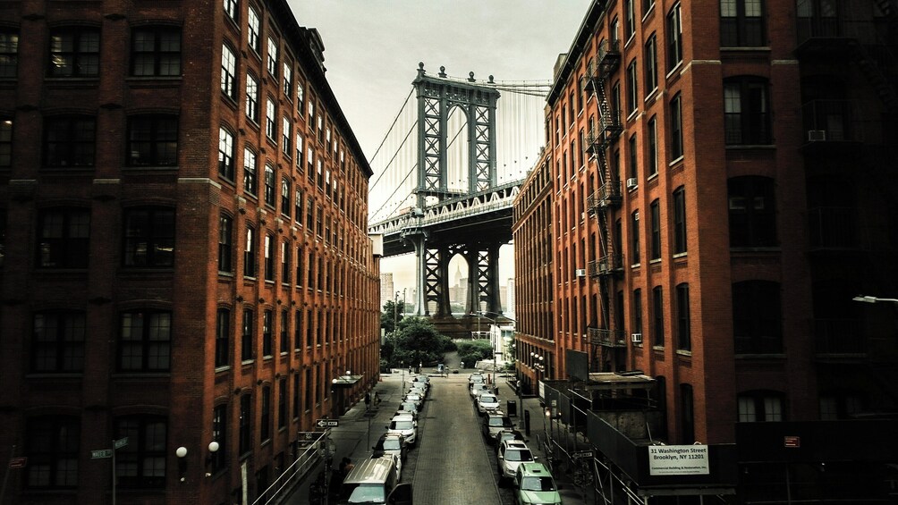 New York City Half Day Dumbo to City Hall Walking Tour   3
