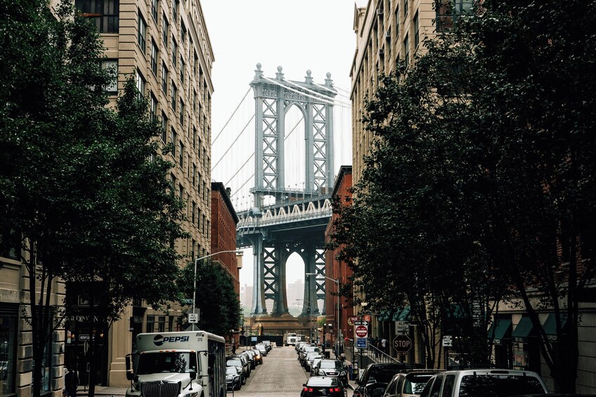 New York City Half Day Dumbo to City Hall Walking Tour   5