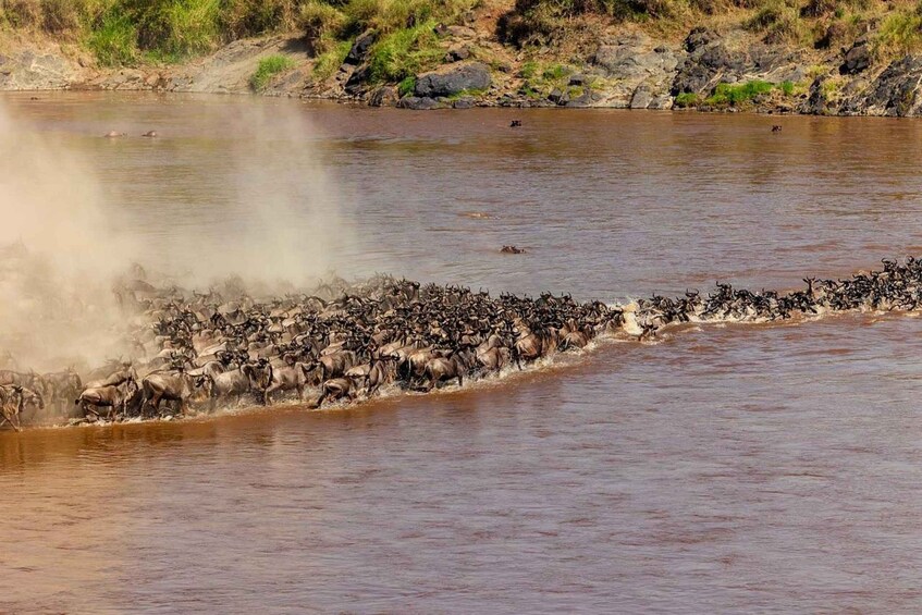 Picture 24 for Activity Arusha: 3-Day Safari to Tarangire, Lake Manyara & Ngorongoro 4