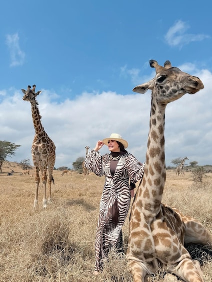 A person in a zebra-striped outfit standing next to a giraffe in a dry grass field with another giraffe in the background. 3