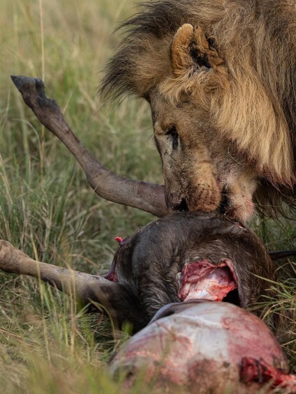 Picture 29 for Activity Arusha: 3-Day Safari to Tarangire, Lake Manyara & Ngorongoro 3