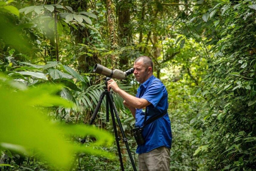 Picture 7 for Activity Cloud Forest Adventure: Hike the Mystical Canopy! 2