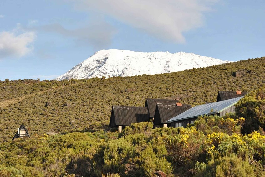 Una montaña nevada, un grupo de cabañas rústicas y un paisaje verde exuberante. 1