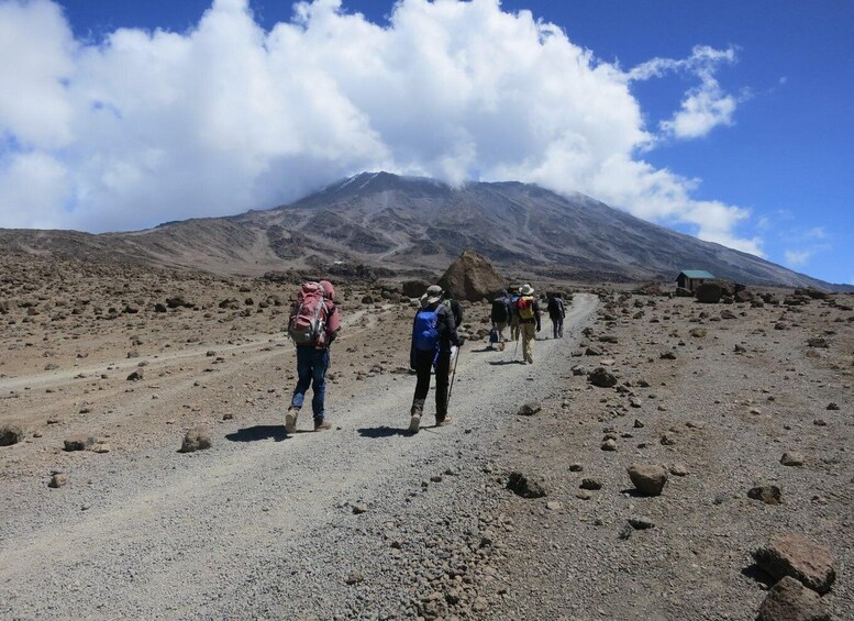 Un grupo de excursionistas en un sendero rocoso con una montaña al fondo. 4