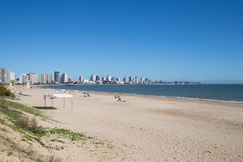 A beach with people sunbathing and walking, a sandy shore, and a city skyline in the background. 2