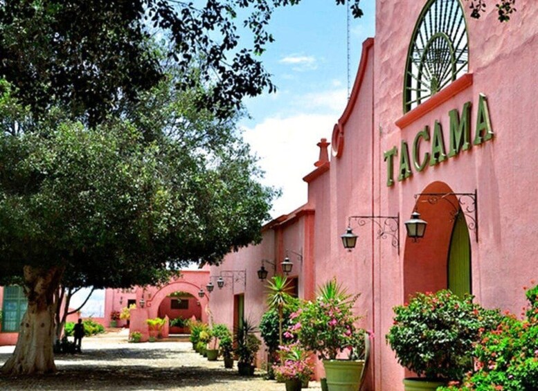 A pink building with the name 'TACAMA' in green letters, surrounded by trees and potted plants. 1