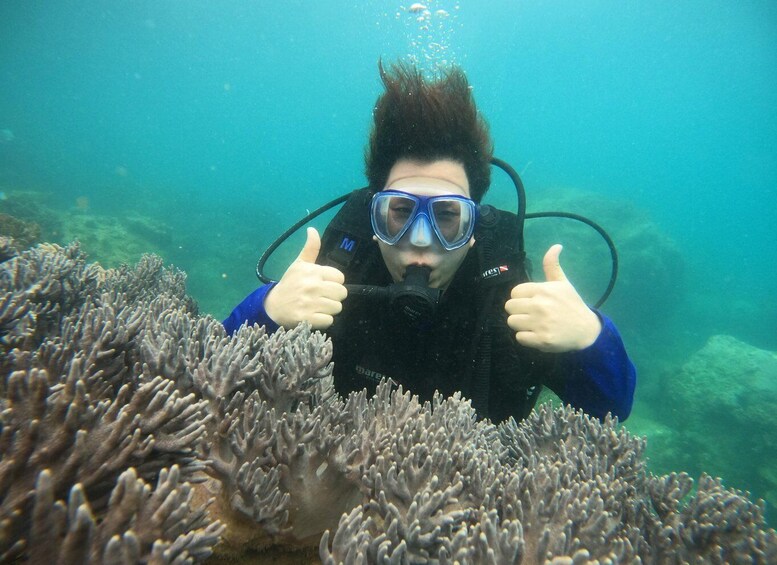 Un subacqueo sott'acqua tra formazioni coralline. 4