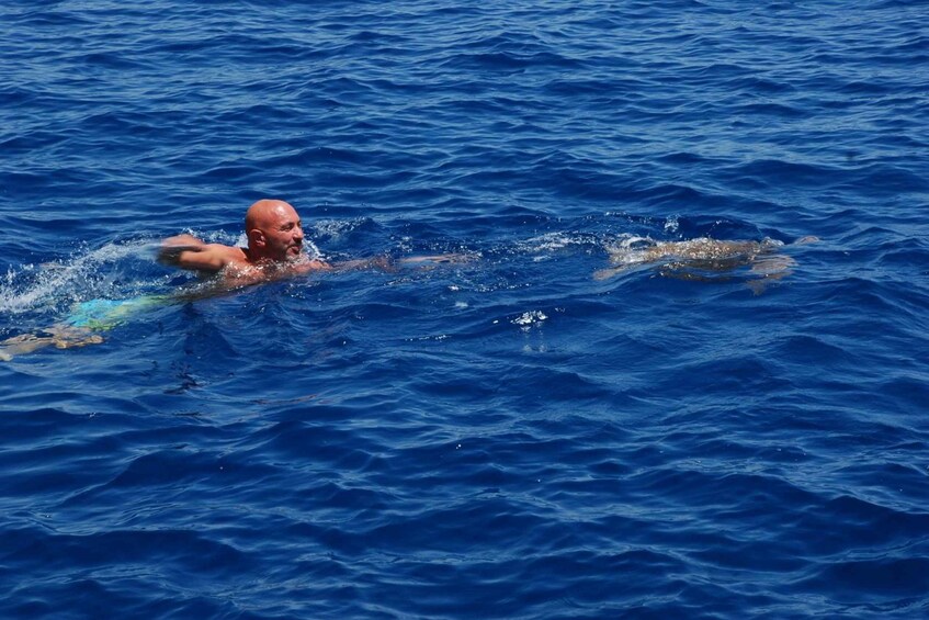 Picture 8 for Activity Side: Dolphin Island Party Cruise w/ lunch For Families Only 2