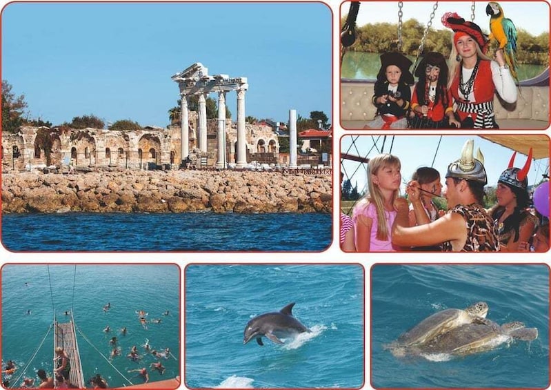 Picture 9 for Activity Side: Dolphin Island Party Cruise w/ lunch For Families Only 5