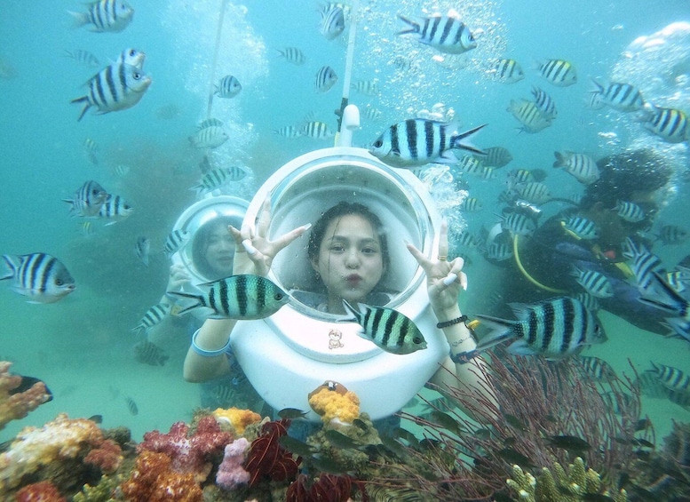 A person in a transparent underwater habitat surrounded by tropical fish. 3