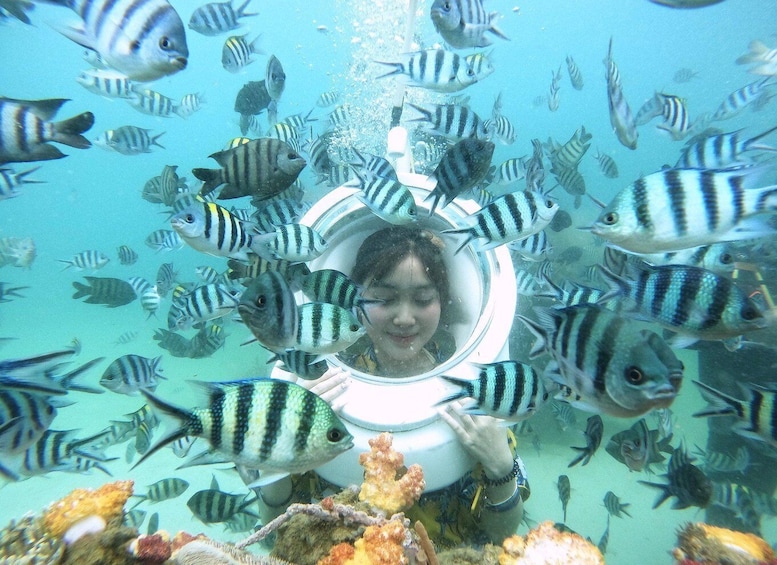A person surrounded by numerous striped fish in an underwater setting. 1