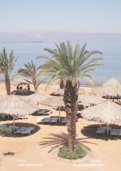 Aqaba: Private Beach, Pools, Snorkeling & Boat Trip,Transfer 1