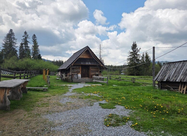 A rustic wooden cabin surrounded by a gravel path, a wooden fence, and a grassy field with yellow flowers. 1
