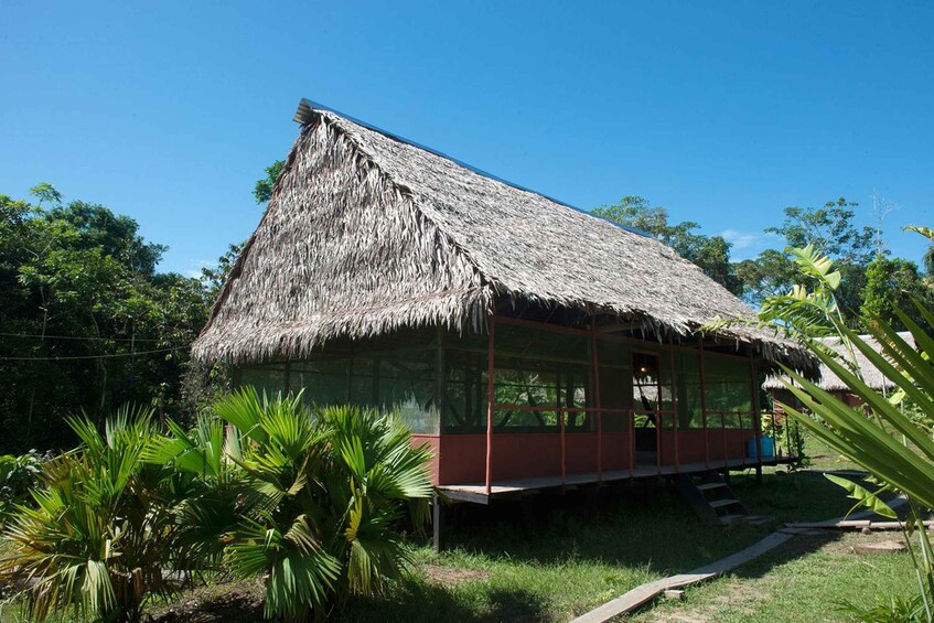 A thatched-roof house with a red exterior, surrounded by lush greenery. 3