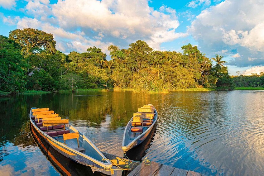 Two wooden boats docked at a pier with a forested riverbank in the background. 5