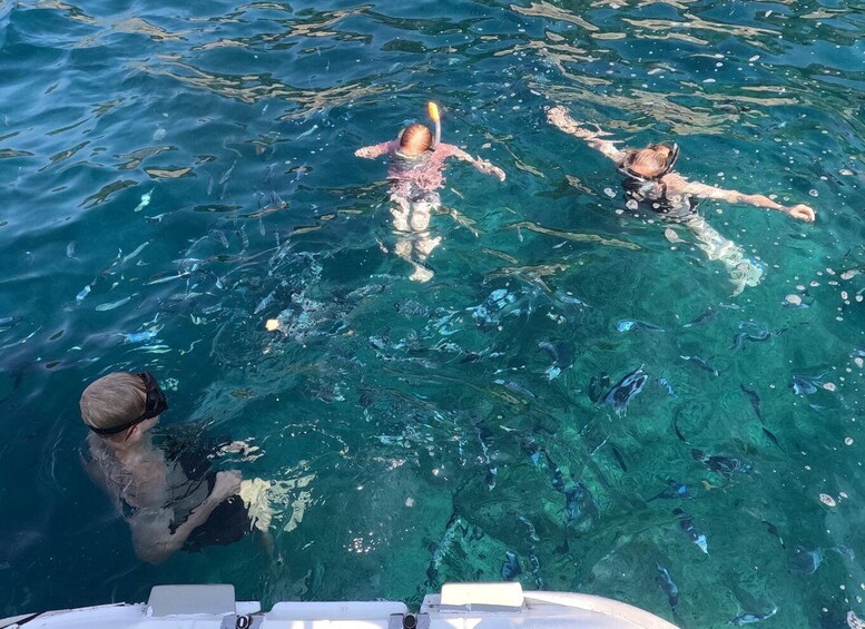 Three people swimming in clear blue water. 5