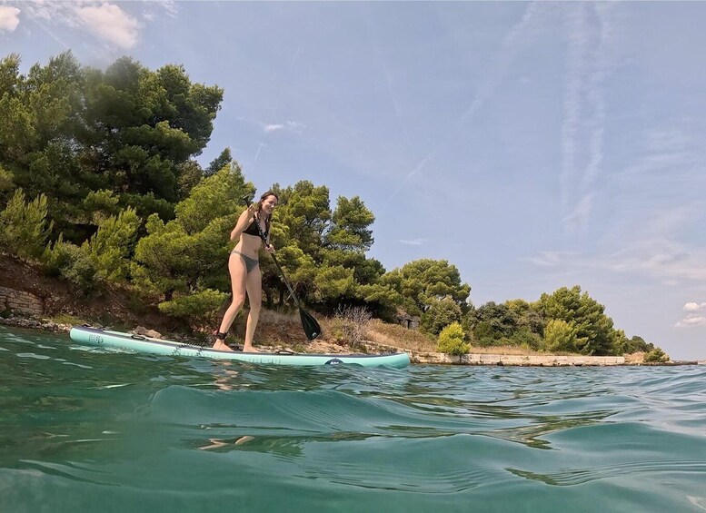 A person paddleboarding on a calm body of water with a forested shoreline in the background. 3