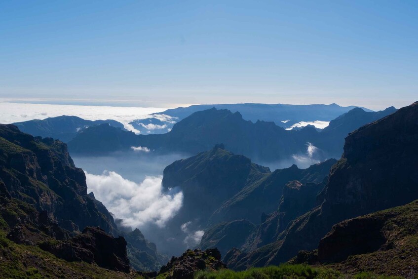Picture 2 for Activity Madeira: Land & Sea 4x4 & Whale Watching Adventure 5