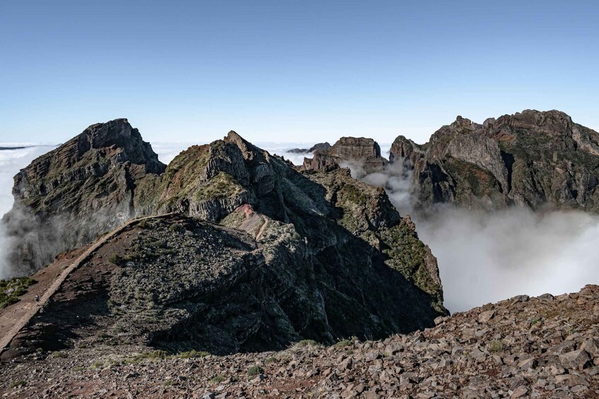 Madeira: Land & Sea 4x4 & Whale Watching Adventure 1