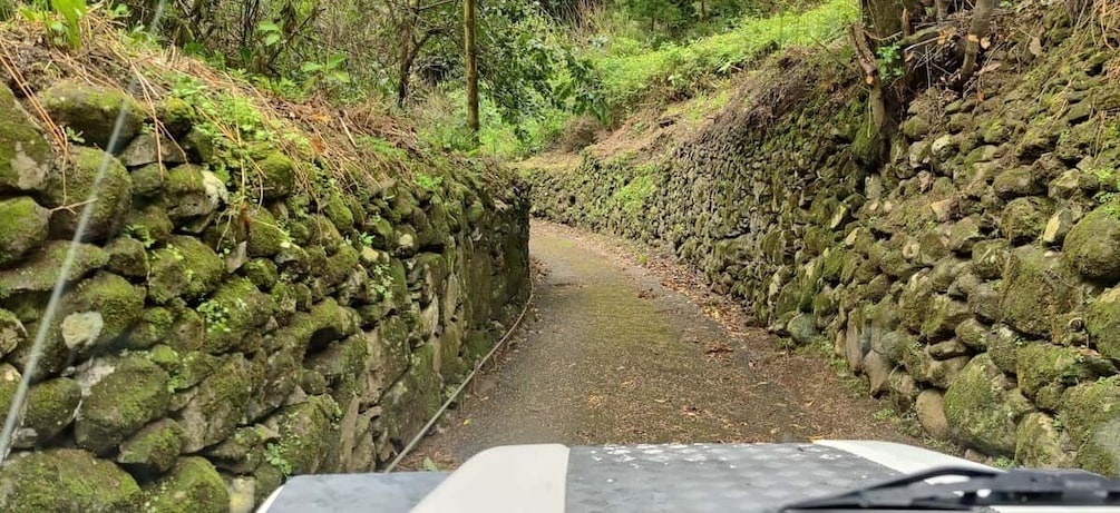 Funchal: 4x4 Tour and Whale Watching Boat Trip 1