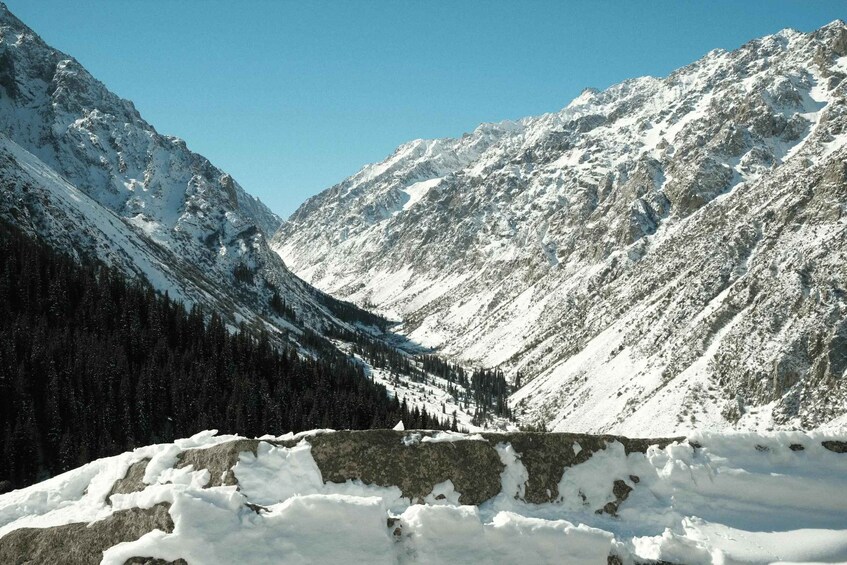 A snow-covered mountain landscape with a rocky foreground and dense forest. 3