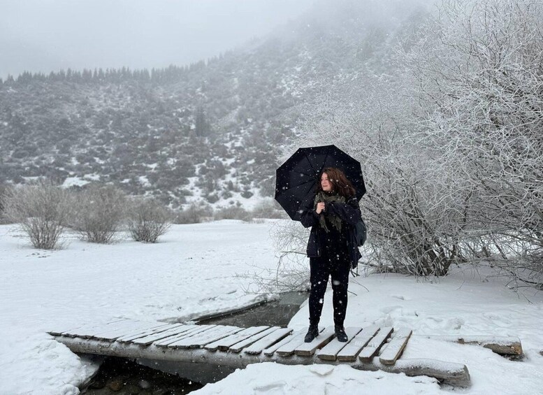 A person standing on a wooden bridge in a snowy landscape. 1