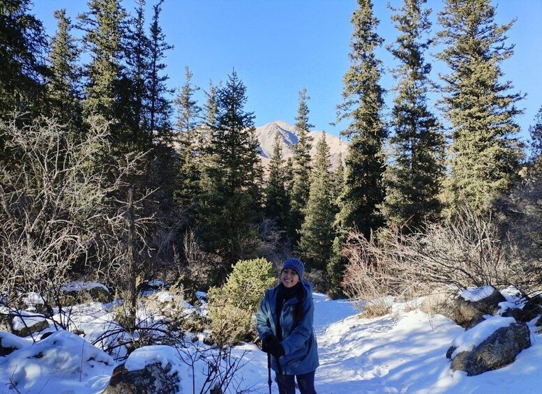 A person in a snowy forest with evergreen trees and a mountain in the background. 2