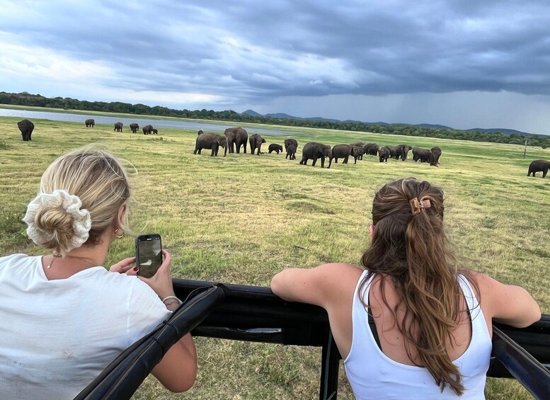 Two people observing elephants in a grassy field with a lake and hills in the background. 3