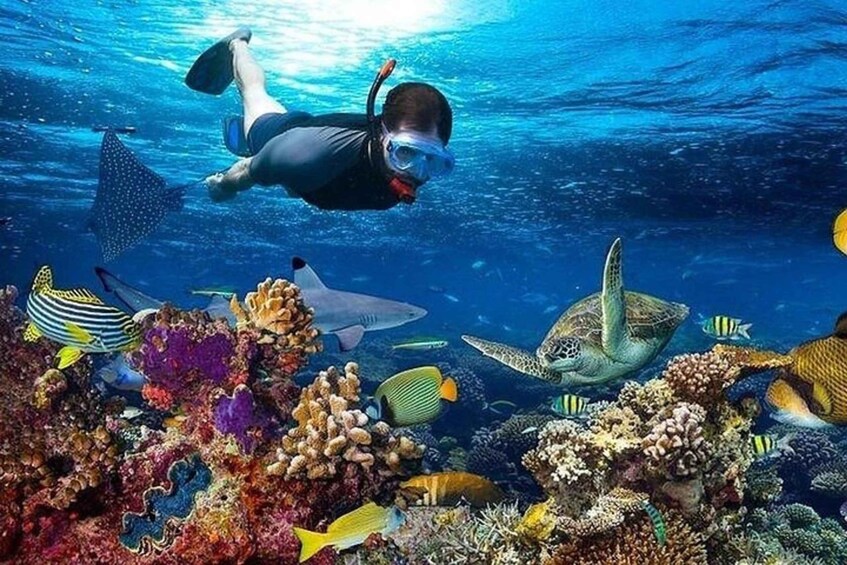 Picture 2 for Activity Stone town: Nakupenda Sandbank beach with Snorkeling trip 3