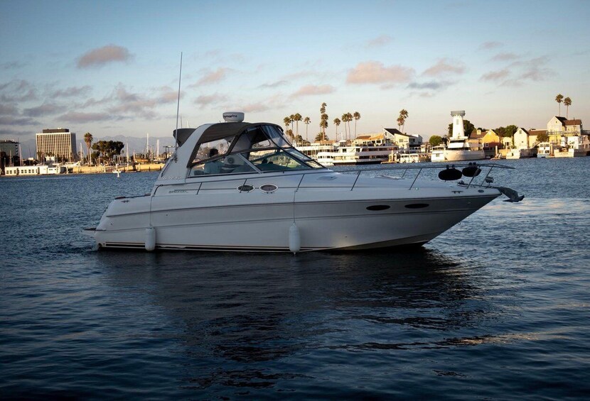 Picture 4 for Activity Marina Del Rey: Luxury Yacht Rental with Captain 2