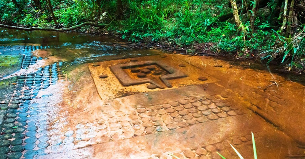 A metal grate with a square symbol, surrounded by wet ground and greenery. 5