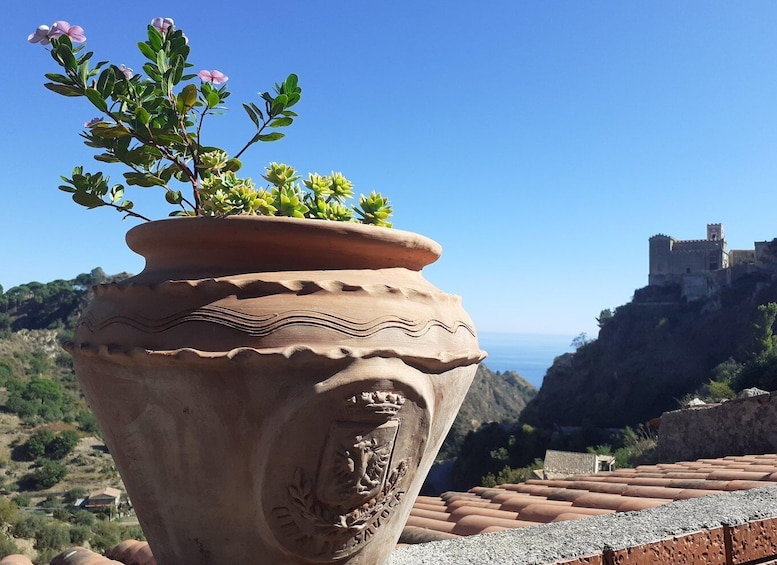 A terracotta pot with a plant on a terrace overlooking a historic castle. 4