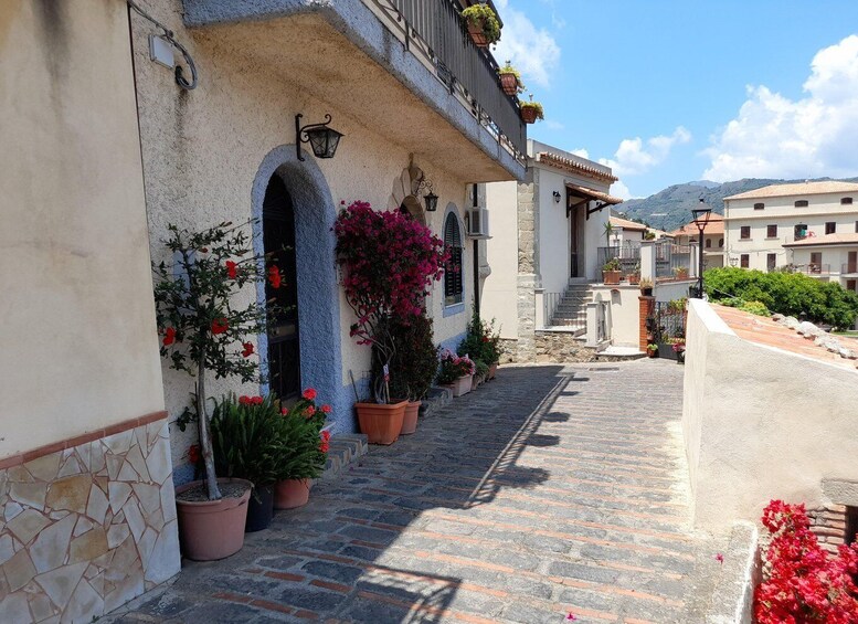 A narrow cobblestone street lined with buildings, potted plants, and a mountain in the background. 5