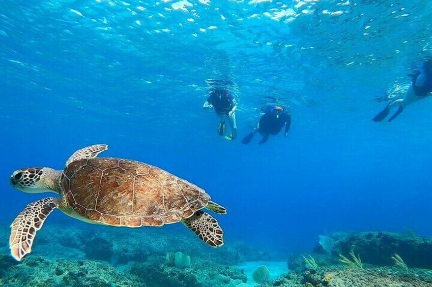 Snorkeling Adventure in Aguadilla