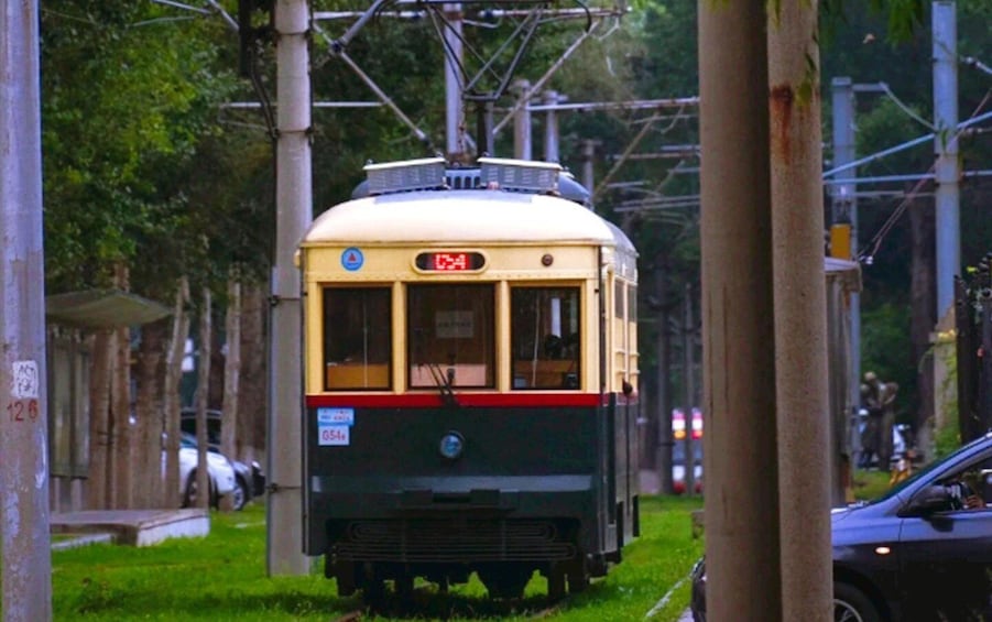 A vintage tram on tracks, surrounded by greenery and utility poles. 4