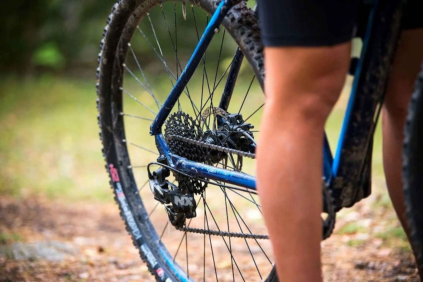 Picture 1 for Activity Uppsala: Mountain Bike Rental with Helmet 2