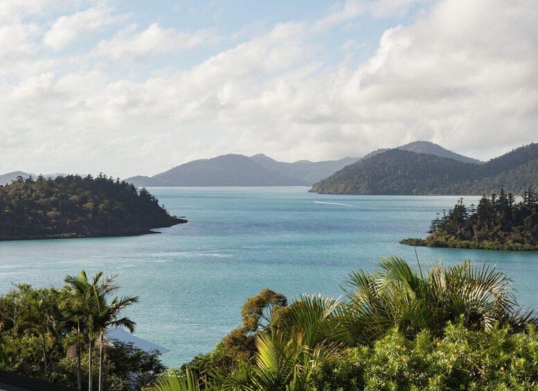 A coastal landscape with calm blue waters, surrounded by lush green hills and palm trees. 5