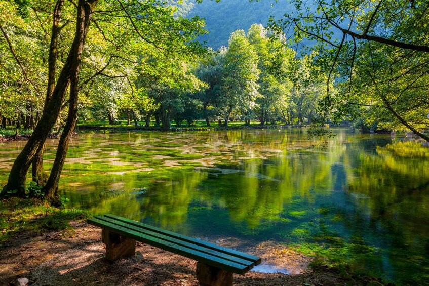 A serene park with a reflective pond surrounded by lush trees and a wooden bench. 2