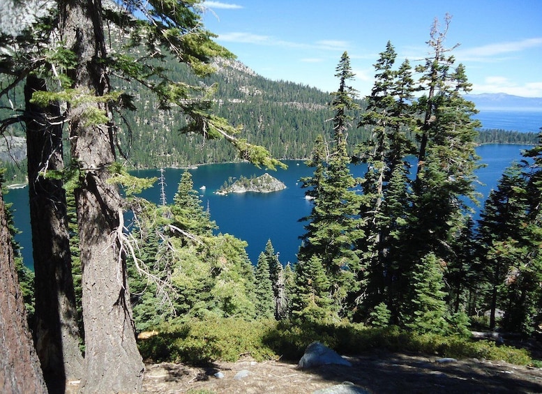 A mountainous landscape with a lake surrounded by dense forests and tall trees. 5