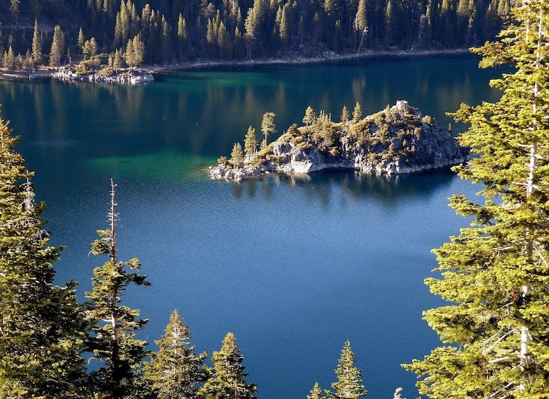 A lake surrounded by dense forest and a small rocky island. 2