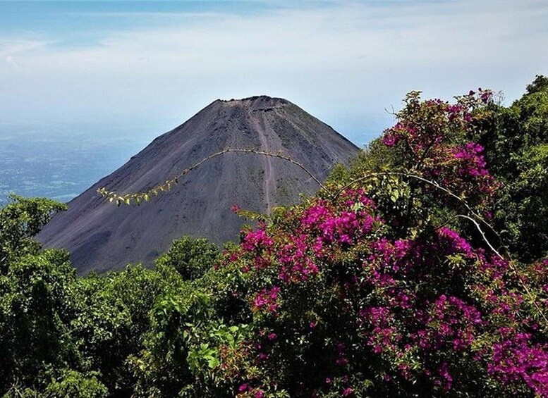 A volcano with a clear sky, surrounded by lush greenery and vibrant pink flowers. 5