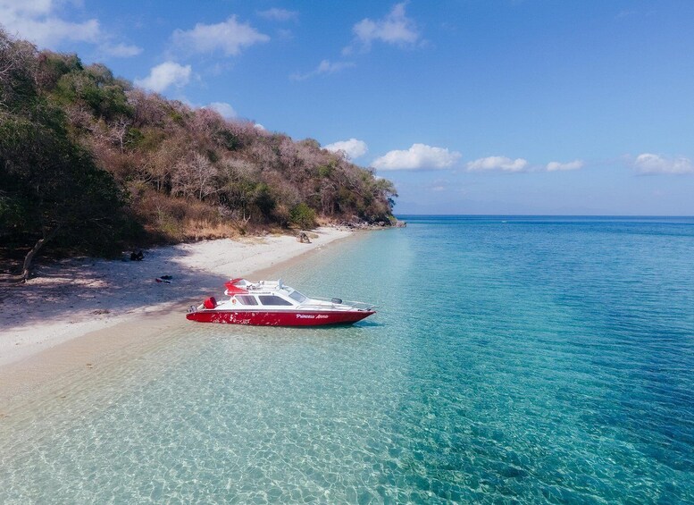 Picture 1 for Activity Sumbawa: Moyo Island & Mata Jitu Waterfall Day Trip 2