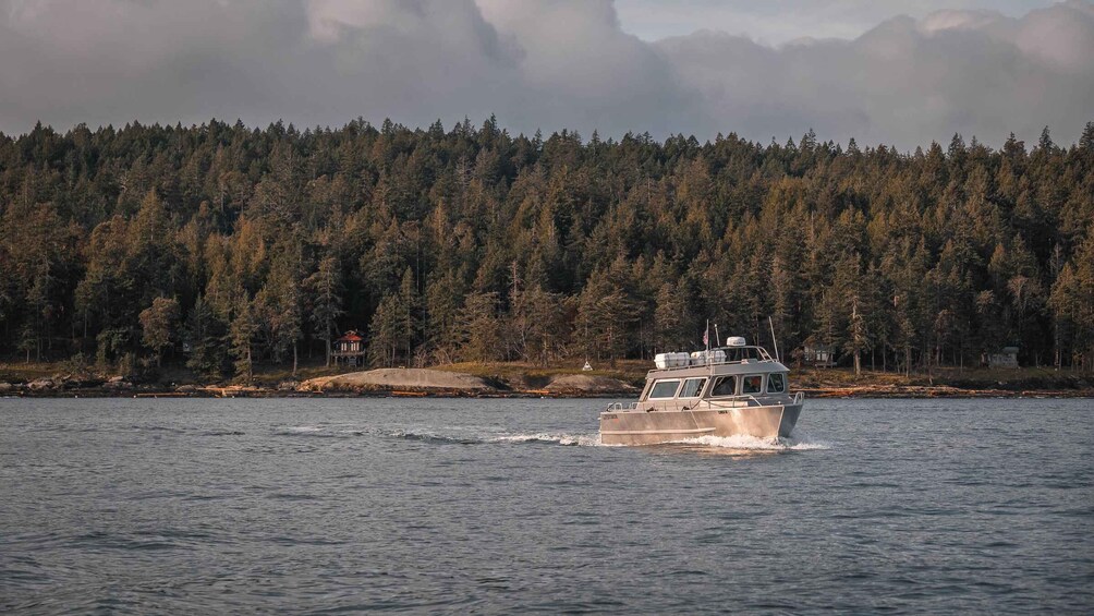 A boat moving across a body of water with a forested shoreline in the background. 1