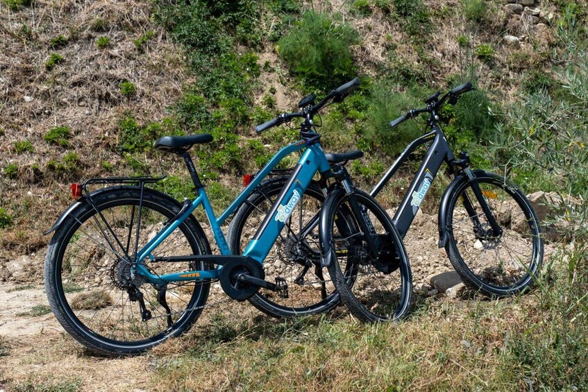 Two bicycles parked on a grassy slope with a rocky background. 3