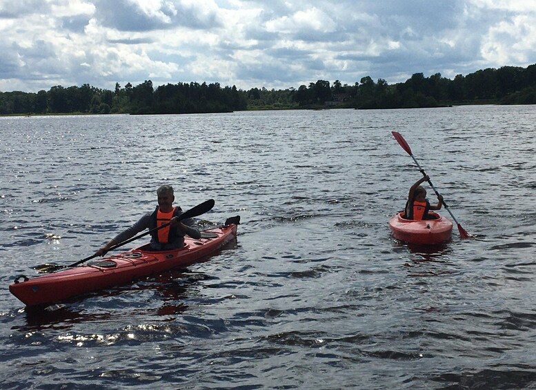 Picture 2 for Activity Agunnaryd: Kayak Rental with Life Jacket & Paddle 4