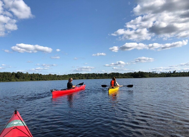Picture 4 for Activity Agunnaryd: Kayak Rental with Life Jacket & Paddle 3