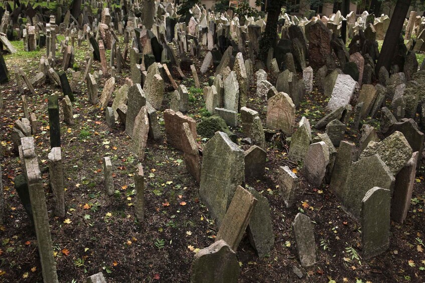 A cemetery with numerous upright headstones. 5