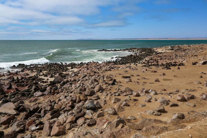 3 day Sossusvlei Camping 1