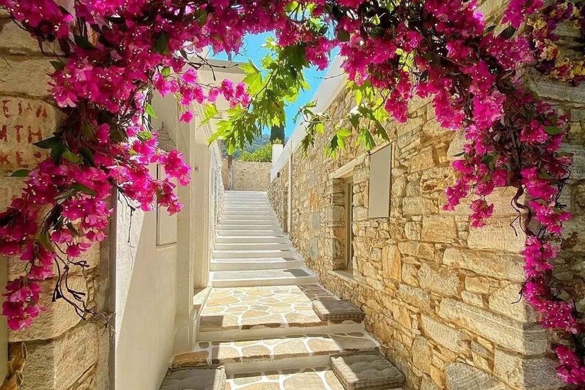 Picture 1 for Activity Naxos Villages Private 4 Hour Tour 3